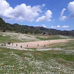 Ilida Villa Skafidia
