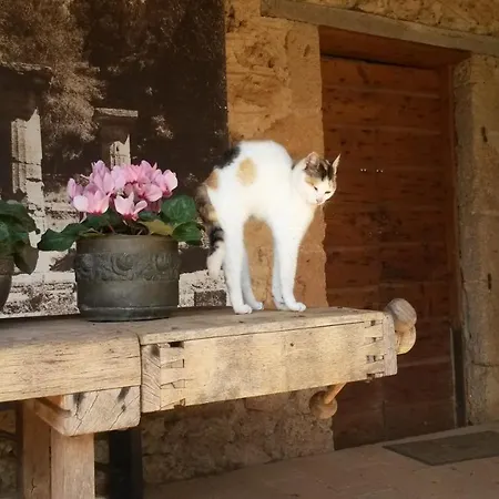 Villa Ilida Skafidia