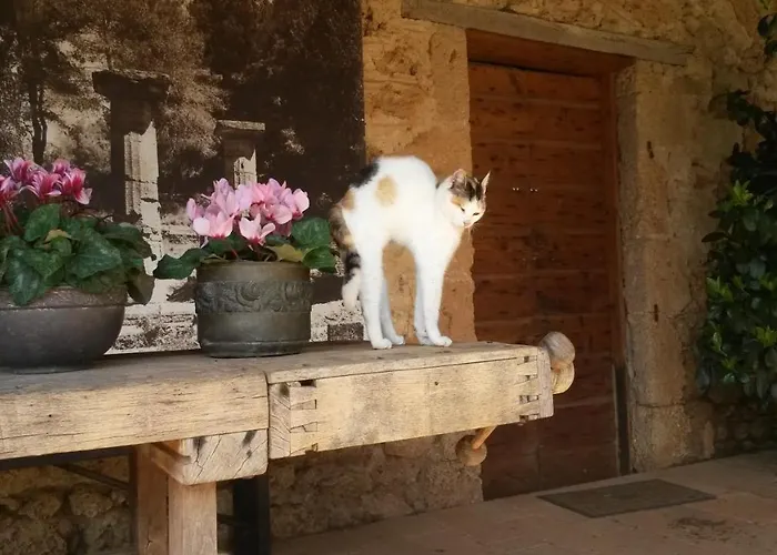 Villa Ilida Szkafidiá